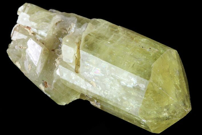 Gemmy, Yellow Apatite Crystal - Morocco #82545